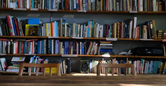 Ask Our Chatbot Anything About Ad Grants