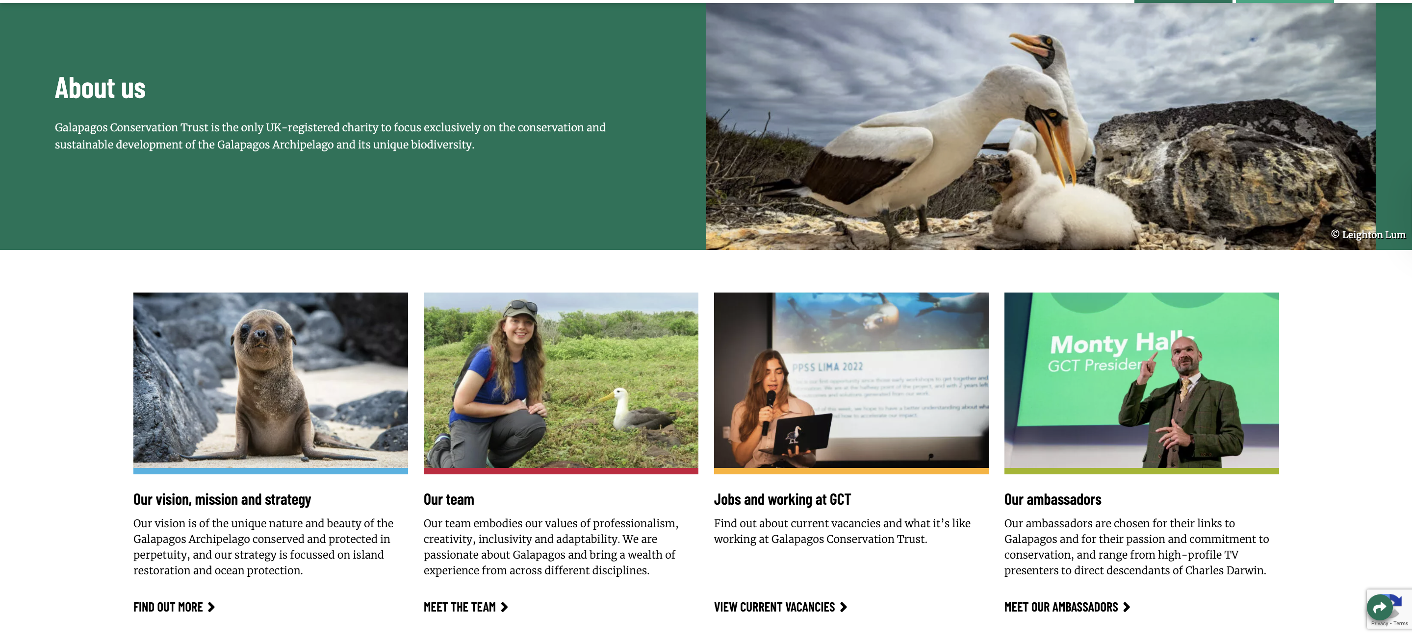 about-us-page-website-policy