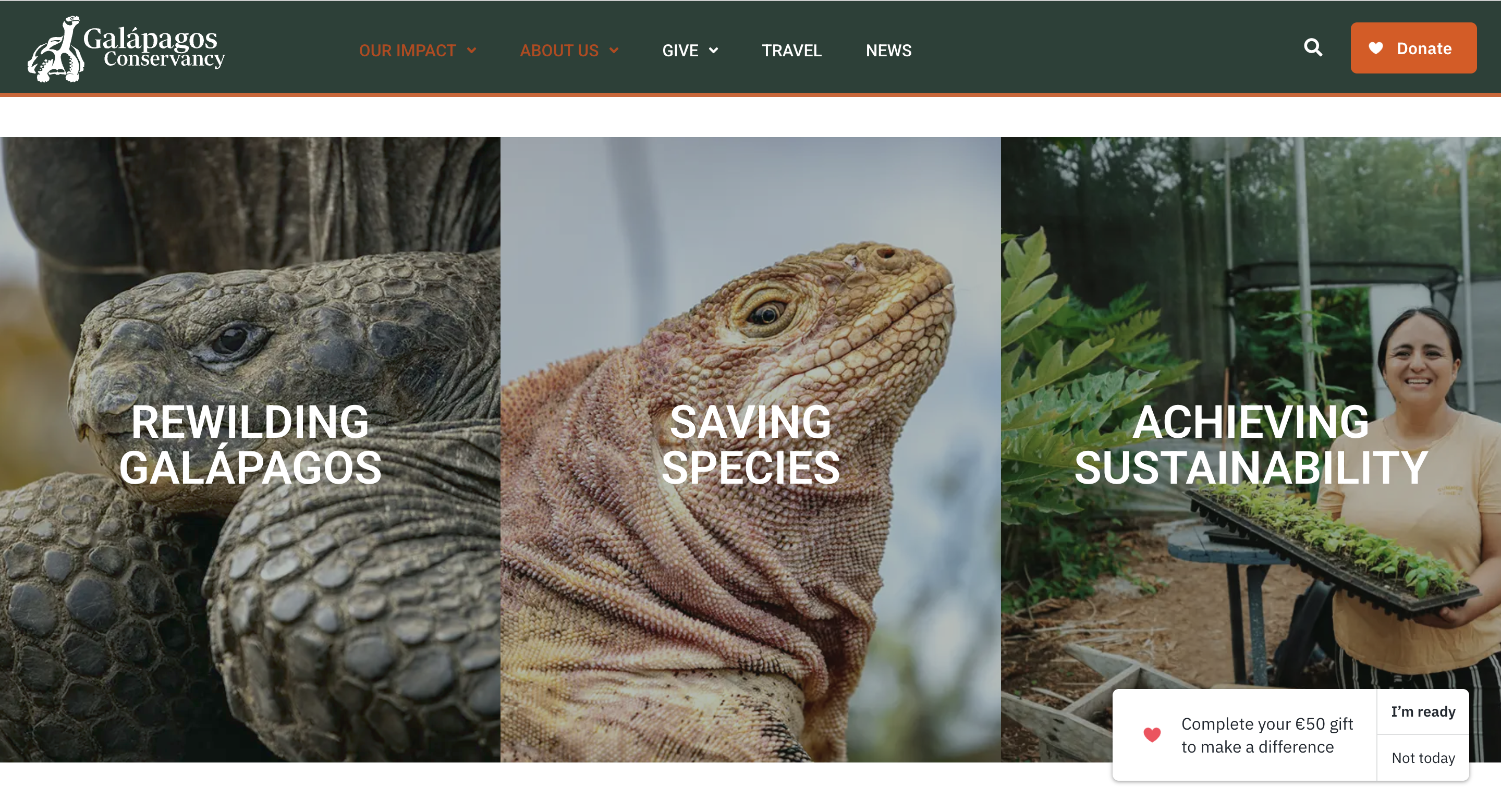 about-us-page-website-policy