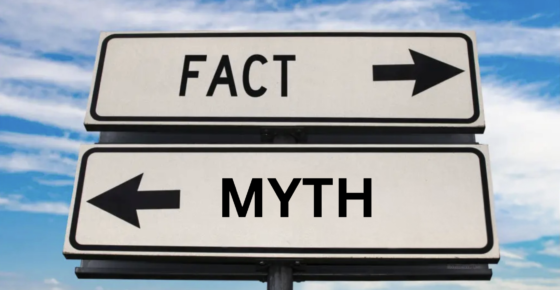 10 Common Google Ad Grants Myths